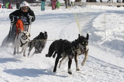Lenk 2012 SM